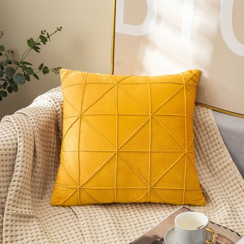 Coussin velours pour le salon