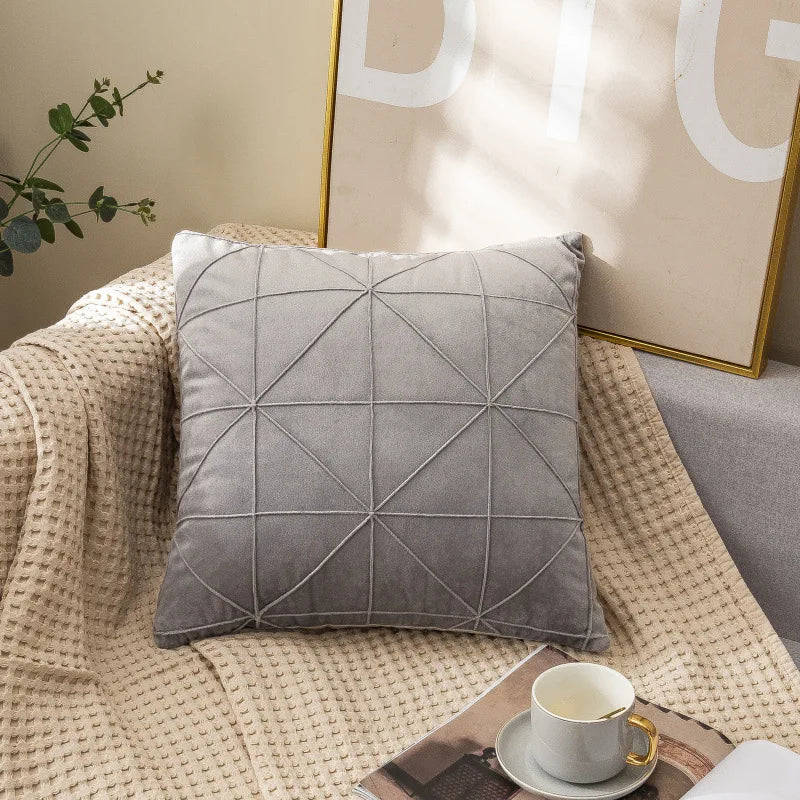 Coussin velours pour le salon
