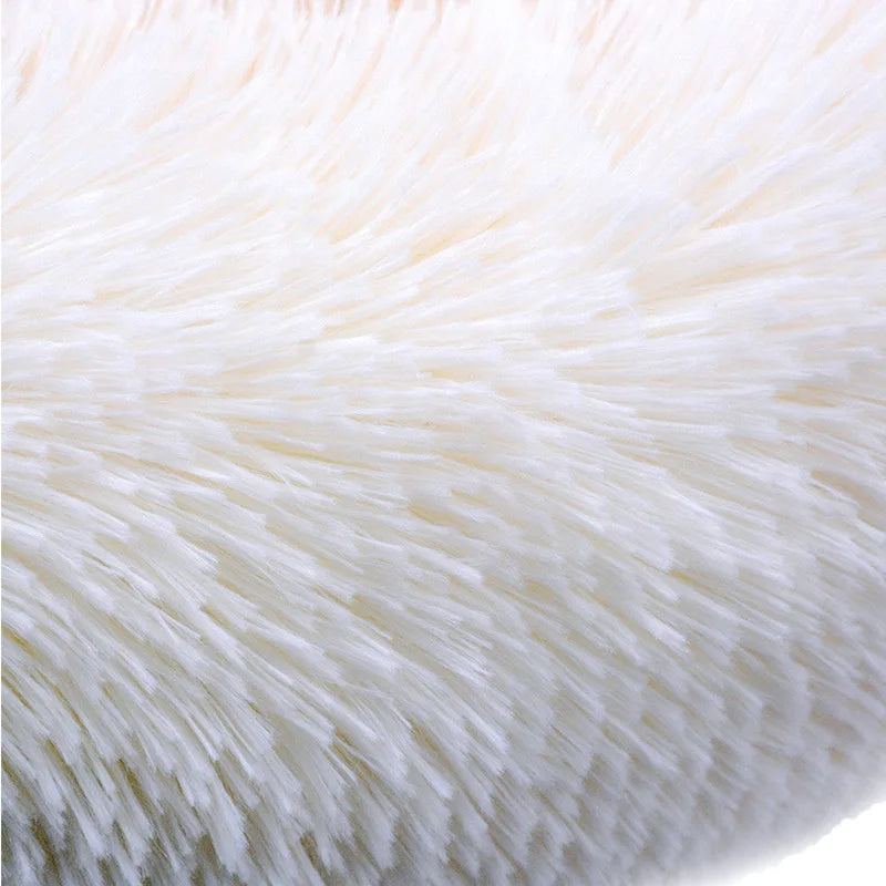 Poil du Coussin chien XXL