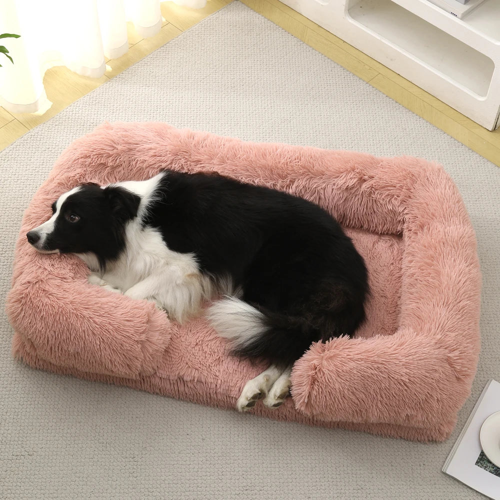 Coussin chien XXL