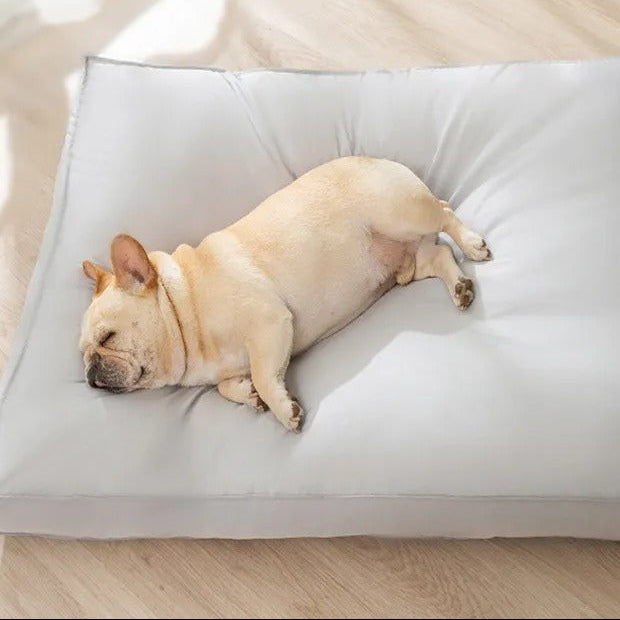 Coussin imperméable style luxueux  pour chien