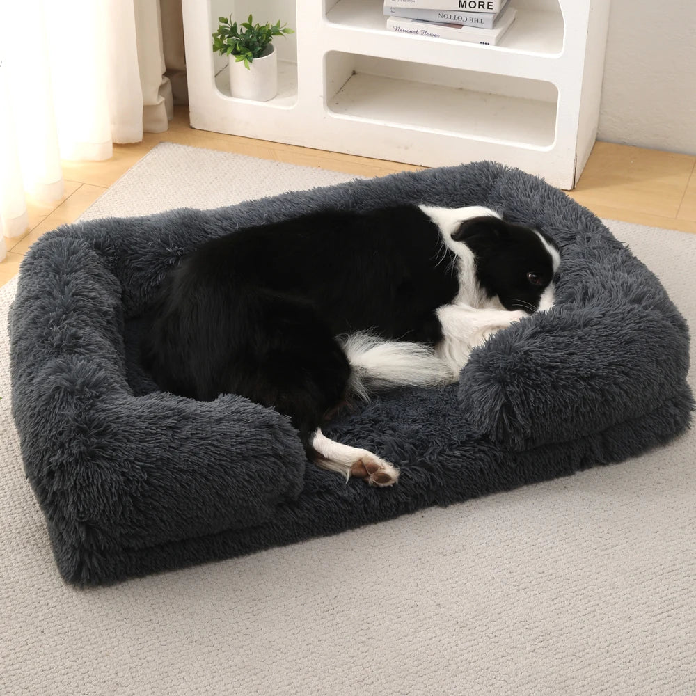 Coussin chien XXL avec chien dedans