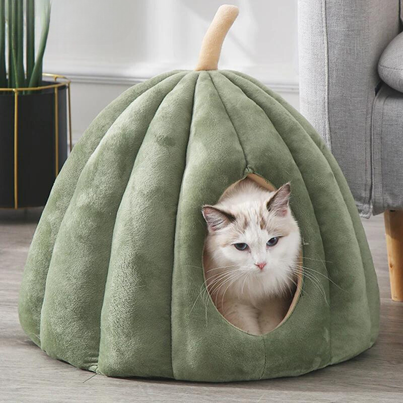 Coussin citrouille chat