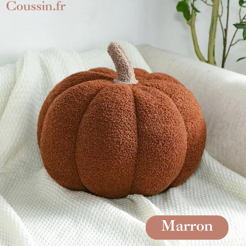 Coussin citrouille marron