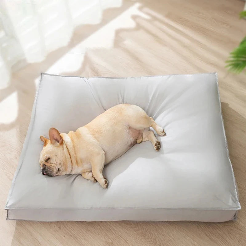 Coussin apaisant avec un chien qui dort