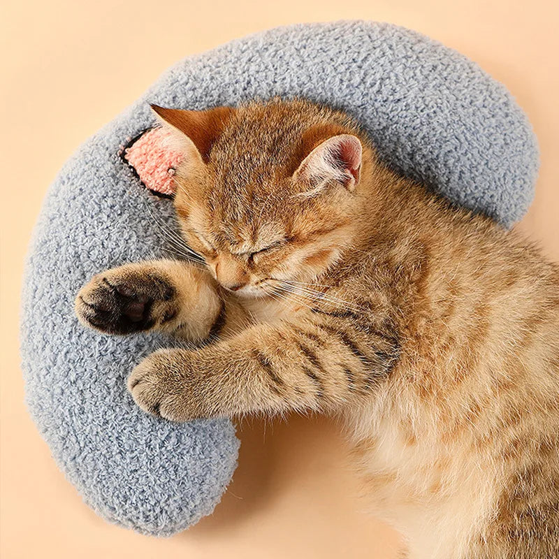 Coussin peluche pour chat confortable