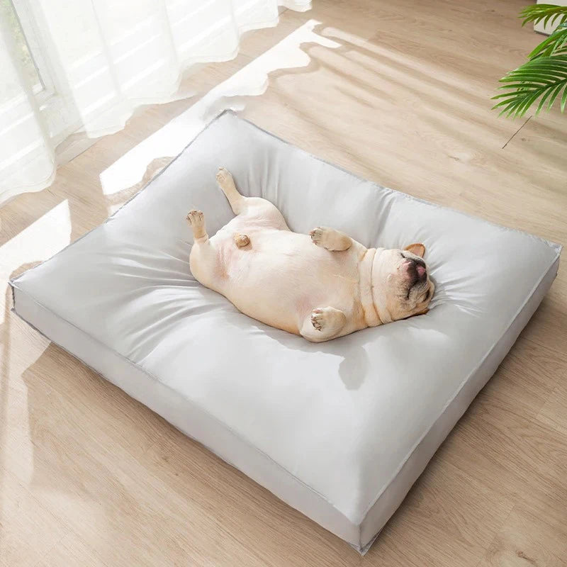 Coussin chien apaisant