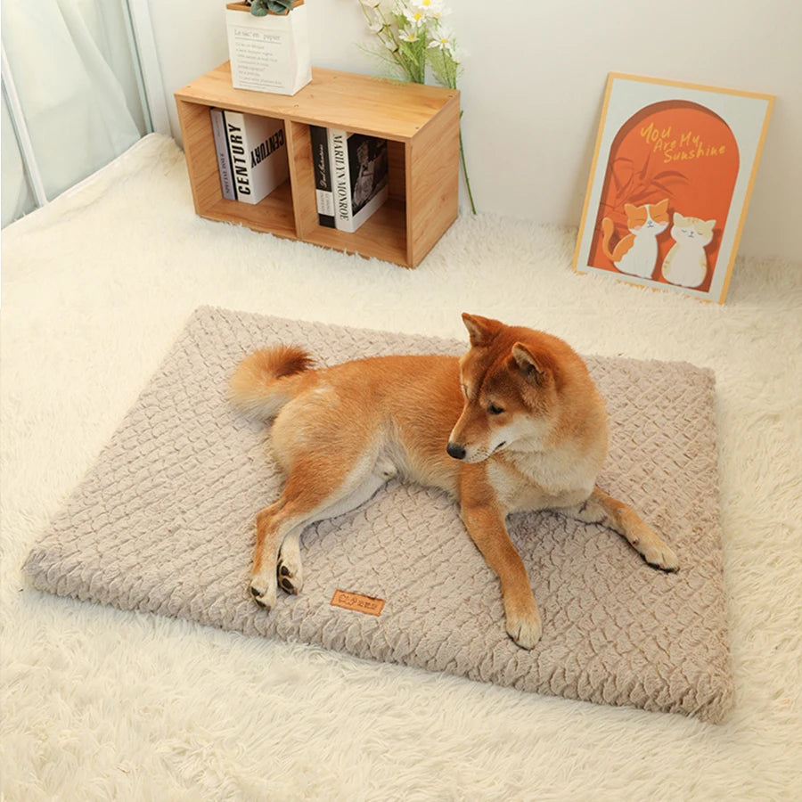 Coussin chien déhoussable lavable