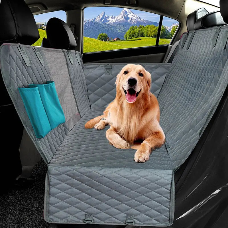 Coussin chien voiture