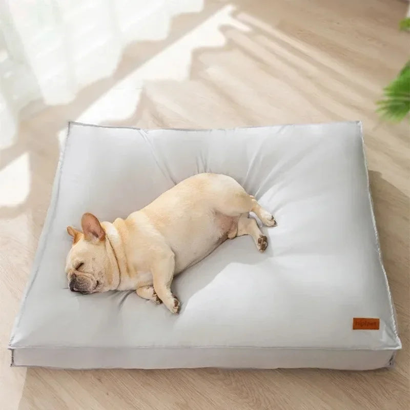 Coussin imperméable pour chien avec un chien dessus