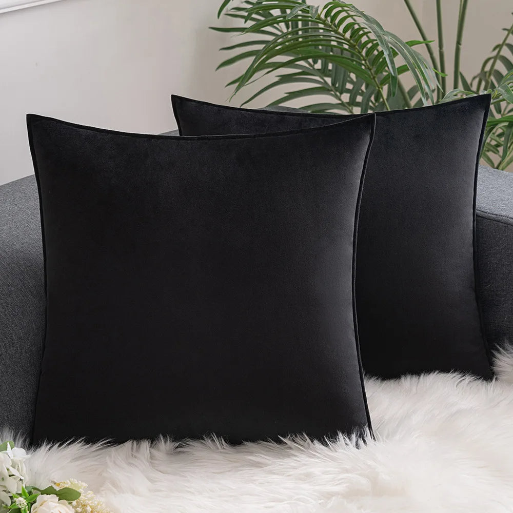Lot de deux coussins velours noir confortables ici posés sur un canapé gris.