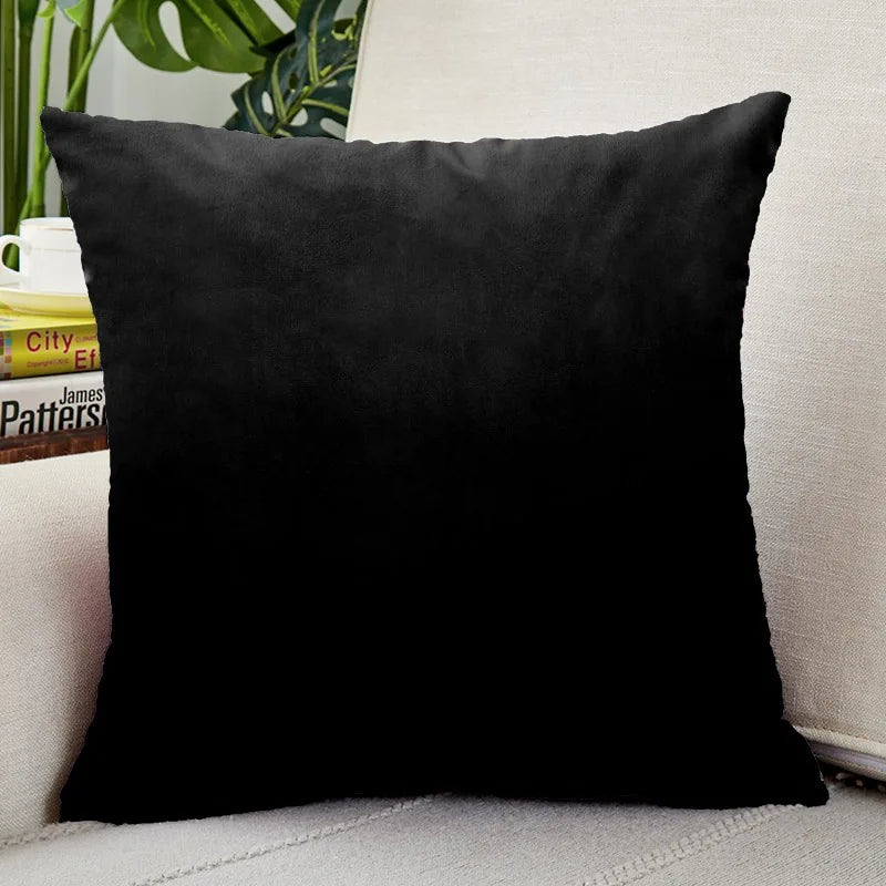Lot de deux coussins velours noir confortables